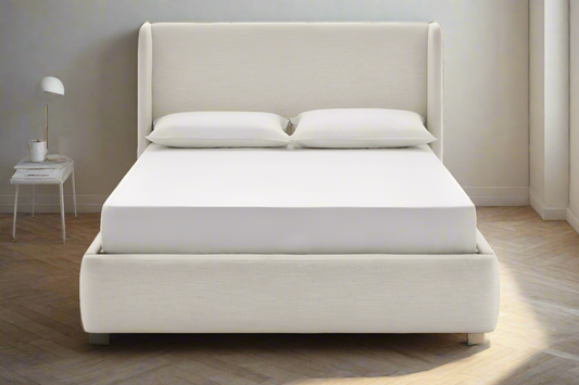 Castlery Dalton Wingback Beach Linen Upholstered Storage King Size Bed FFE258-412