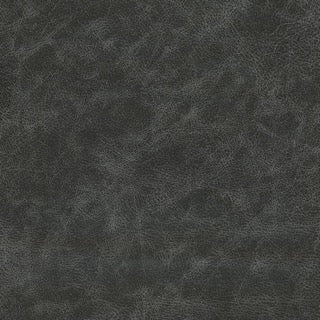 Danika Bar Stool (Set of 2) Charcoal Grey Vegan Leather FFW258-677