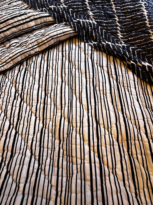 John Robshaw Blue & White Reversible Queen Quilt JB240-49