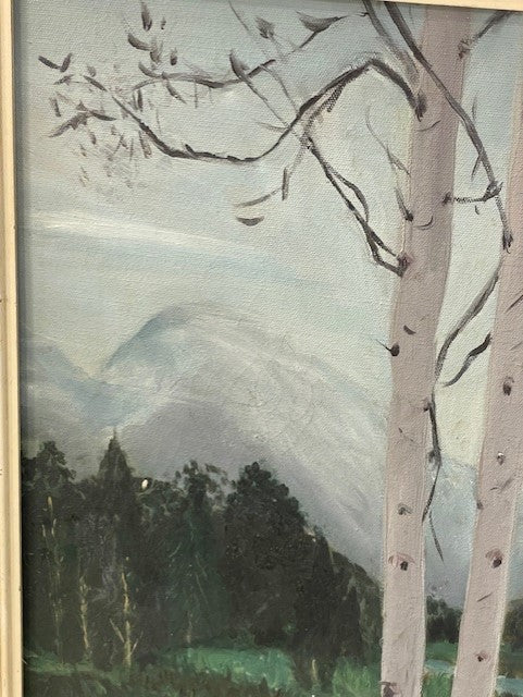 E Fyers River & Mountain Original Oil Painting EK221-68