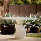 Arteriors Home Figueroa Ivory Outdoor Entry Table FFE-1059