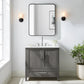 Bridgeport Home Daisy 36" Single-Sink Grey Bathroom Vanity Set FFE-1242
