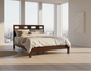 Modus Riva Queen-size Platform Storage Bed in Chocolate Brown 2 FFE-1512
