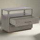 Pair of Sunpan Danette 2-Drawers Gray Oak Wood Nightstands FFE258-235