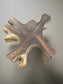 Classic Home Prescy Coastal Beach Natural Teak Wood Root Coffee Table MB1-33