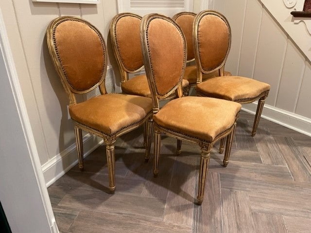 5 Gold Leaf Louis XVI Style Dining Side Chairs SL86-2