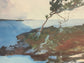 Winslow Homer The Coming Storm Lithograph Framed EK221-48