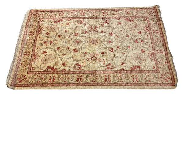 Hand Knotted Turkish Area Rug PA107-28